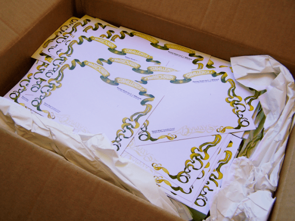 Hometown Challenge, box