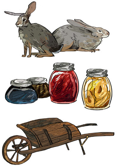 Meadowsweet Illustrations